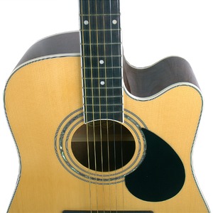 Акустическая гитара GREG BENNETT GD100SC/N
