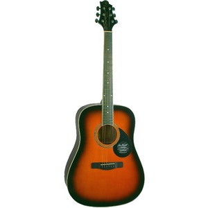Акустическая гитара GREG BENNETT GD100S/VS