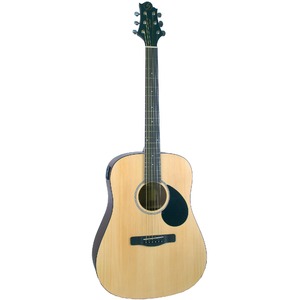 Акустическая гитара GREG BENNETT GD50T/OPN