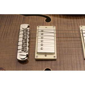 Электрогитара PRS SE HOLLOWBODY II PIEZO STD BLACK GOLD с кейсом