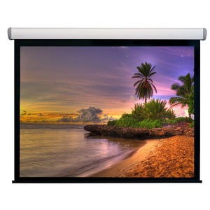 Экран для проектора Digis Ellipse DSEES-16902B_100