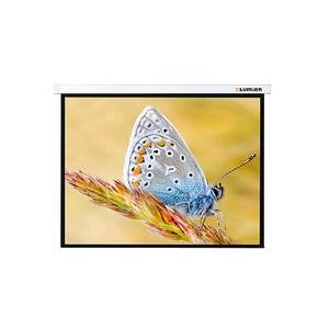 Экран для проектора Lumien Master Large Control 346x449 см LMLC-100111