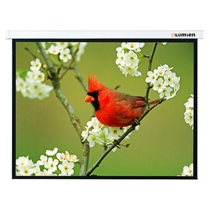 Экран для проектора Lumien Master Portable 198х190 см рабочая область 100х177 см 80 Matte White FiberGlass