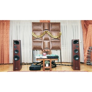 CD проигрыватель Hegel Mohican Black