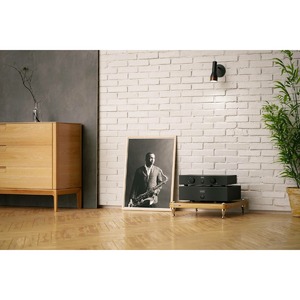 Усилитель предварительный Hegel P20 Black
