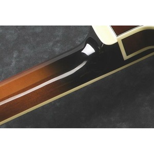 Электрогитара Ibanez AS93FML-VLS