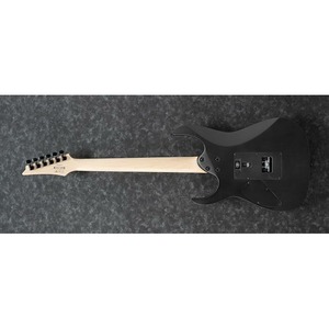 Электрогитара Ibanez RG320EXZ-BKF