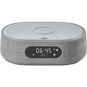 Портативная акустика Harman Kardon Citation OASIS Grey