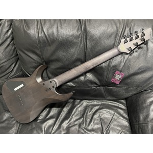 Электрогитара SCHECTER Omen Elite-7 BCHB