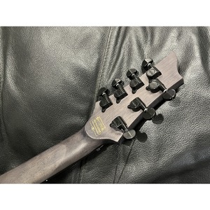 Электрогитара SCHECTER Omen Elite-7 BCHB