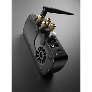 Усилитель мощности Chord Electronics Maxx Black