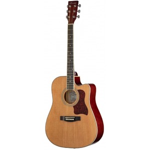 Акустическая гитара Caraya F641-N