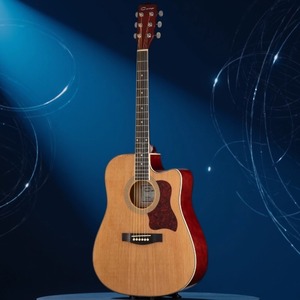 Акустическая гитара Caraya F641-N