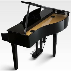 Пианино цифровое Kawai DG30