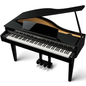Пианино цифровое Kawai DG30