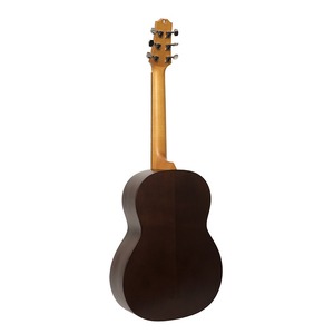 Акустическая гитара NewTone N17GASCTDB
