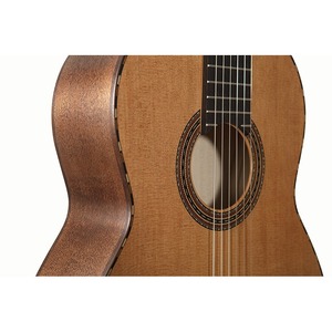Классическая гитара NewTone SCLCEDCTNT