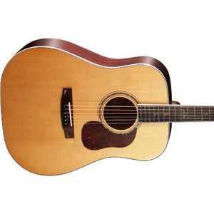 Акустическая гитара Cort Gold-D8 NAT With Case
