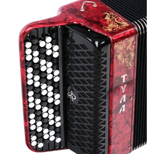 Баян ученический двухголосный Тульская Гармонь BN-37-RD