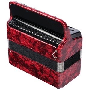 Баян ученический двухголосный Тульская Гармонь BN-37-RD