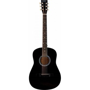 Акустическая гитара DAVINCI DF-70A BK