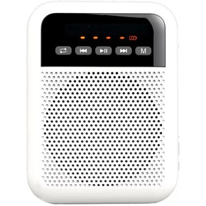 Громкоговоритель для гида LAudio WS-VA030-Pro