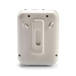 Громкоговоритель для гида LAudio WS-VA030-Pro