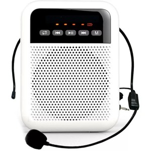 Громкоговоритель для гида LAudio WS-VA030-Pro
