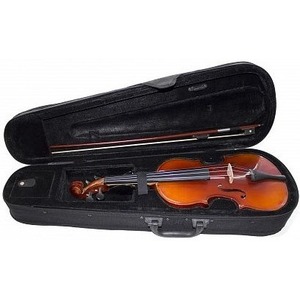 Скрипка размер 4/4 ALINA PRO AVD85S