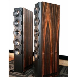 Напольная акустика Perlisten Audio S7t Ebony HG