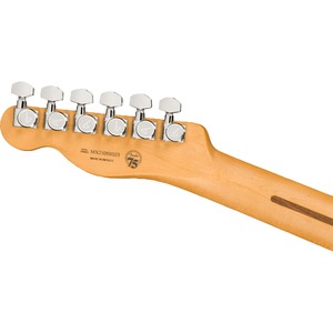 Электрогитара Fender Player Plus TELE MN 3TSB