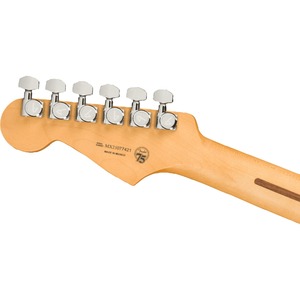 Электрогитара Fender Player Plus STRAT HSS PF BLB