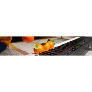 Пианино цифровое Casio CDP-S360BK