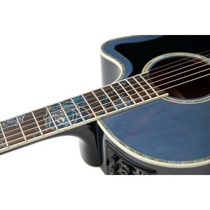 Электроакустическая гитара Takamine LTD2021 Blue Rose