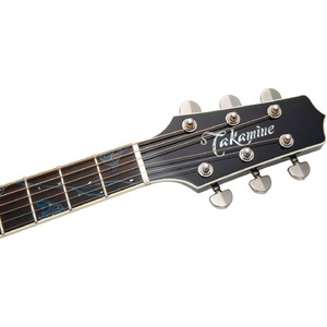 Электроакустическая гитара Takamine LTD2021 Blue Rose