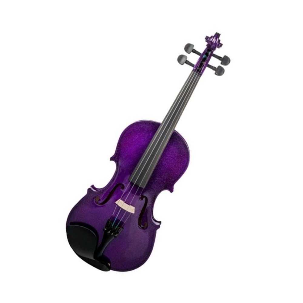 Скрипка ALINA PRO AVV05B