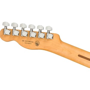 Электрогитара Fender Player Plus TELE PF SVS