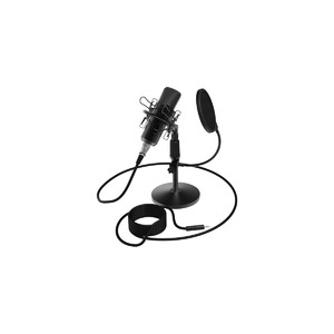Микрофон студийный конденсаторный Ritmix RDM-175 Black