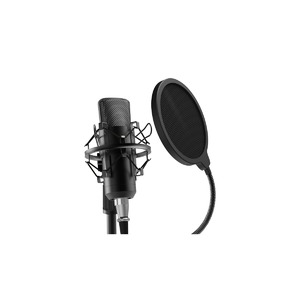 Микрофон студийный конденсаторный Ritmix RDM-175 Black