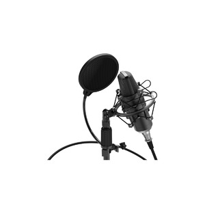 Микрофон студийный конденсаторный Ritmix RDM-175 Black