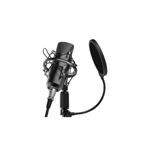Микрофон студийный конденсаторный Ritmix RDM-175 Black