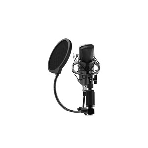 Микрофон студийный конденсаторный Ritmix RDM-175 Black