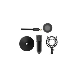 Микрофон студийный конденсаторный Ritmix RDM-175 Black