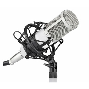 Микрофон студийный конденсаторный FZONE BM 800 SILVER