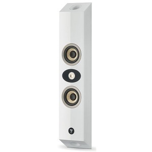 Настенная акустика Focal HOME ON WALL 301 White HG