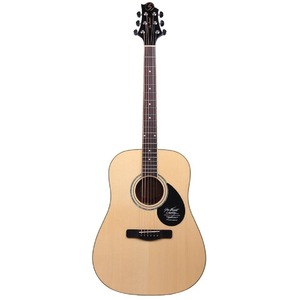 Акустическая гитара GREG BENNETT GD-200S/N