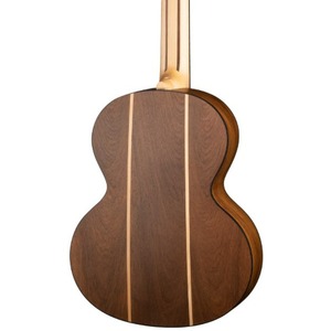 Акустическая гитара Dixon D021A-7
