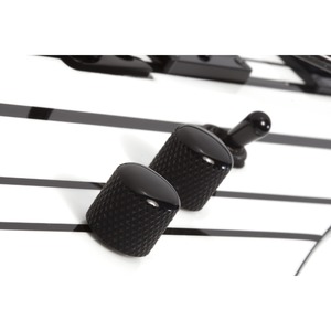 Электрогитара SCHECTER Synyster Standard WHT/BLK