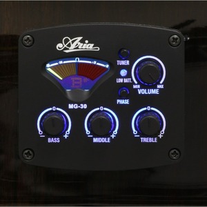 Электроакустическая гитара ARIA MSG-02CE BS