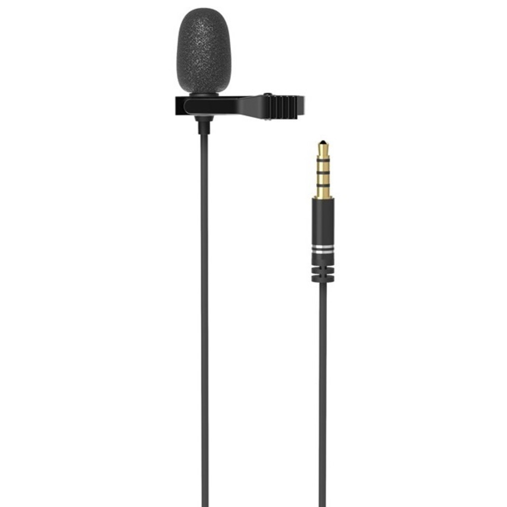 Петличный микрофон Ritmix RCM-110 Black